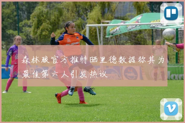 森林狼官方推特晒里德数据称其为最佳第六人引发热议